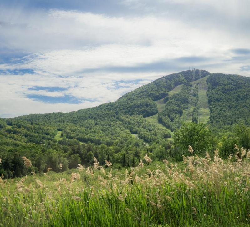 Condo Hotel Au Pied Du Mont Orford Номер фото